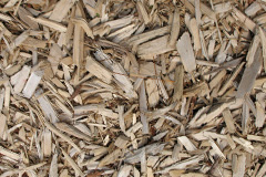 biomass boilers Kinninvie